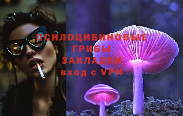 шишки Володарск
