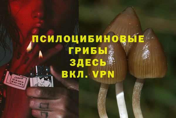 ПСИЛОЦИБИНОВЫЕ ГРИБЫ Волоколамск