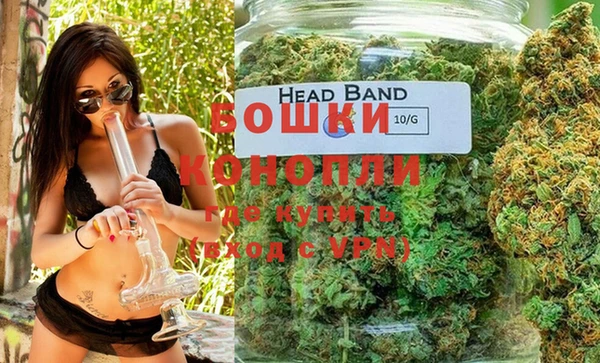 шишки Володарск