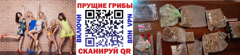 Псилоцибиновые грибы мухоморы  где купить   Осинники 